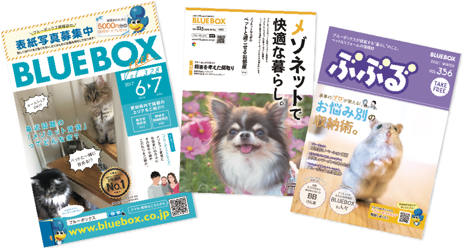 ペットの写真