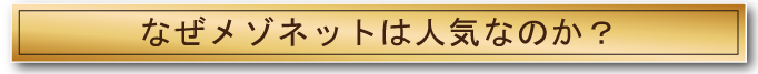 なぜメゾネットは人気なのか