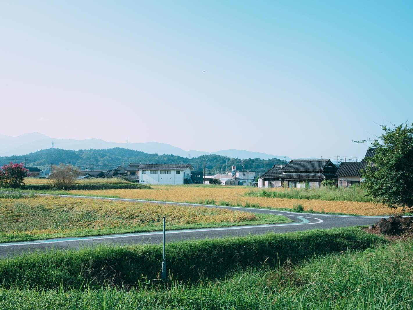yudai_2491400007_TP_V.jpg